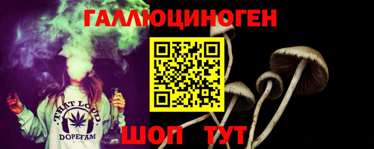 Галлюциногенные грибы Psilocybine cubensis Обнинск